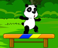 Giant Panda