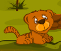 Tiger Island