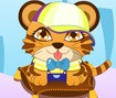 Vestir o Bebê Tigre